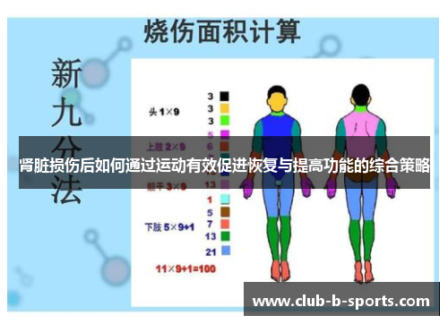 肾脏损伤后如何通过运动有效促进恢复与提高功能的综合策略 肾脏损伤后如何通过运动有效促进恢复与提高功能的综合策略