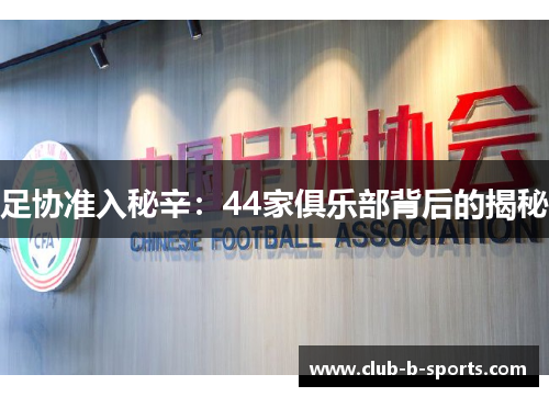 足协准入秘辛:44家俱乐部背后的揭秘 足协准入秘辛:44家俱乐部背后的揭秘