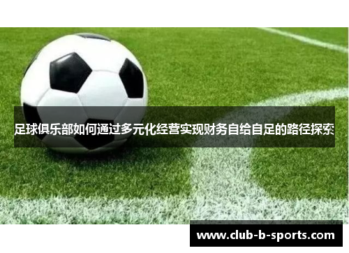 足球俱乐部如何通过多元化经营实现财务自给自足的路径探索 足球俱乐部如何通过多元化经营实现财务自给自足的路径探索