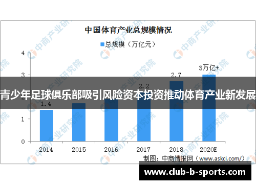 青少年足球俱乐部吸引风险资本投资推动体育产业新发展